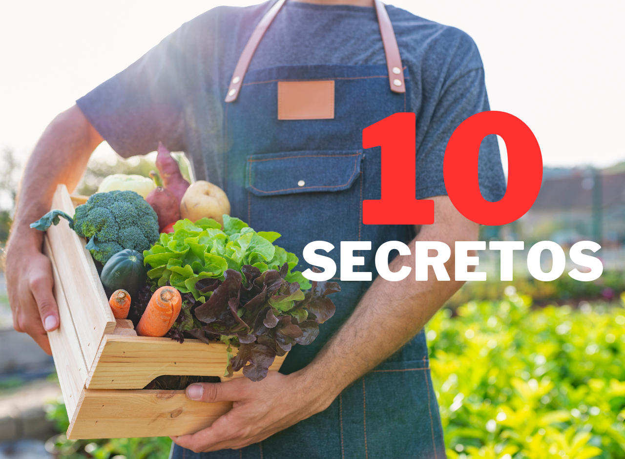 Copia de Copia de ADN 5 formas de evitar estafas a billeteras digitales